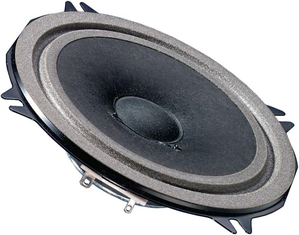 Visaton VS-FRS8/4 - Hauts-parleurs (1.0 Canaux, 30 W, 100 – 20000 Hz, 4