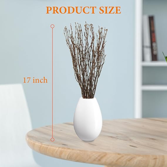 120 PCS Birch Twigs 17 Inch Natural Dried Birch Branches for Vase Decoration, DIY Crafts, Wedding Arrangements, Home Wreath Decor, Centerpieces