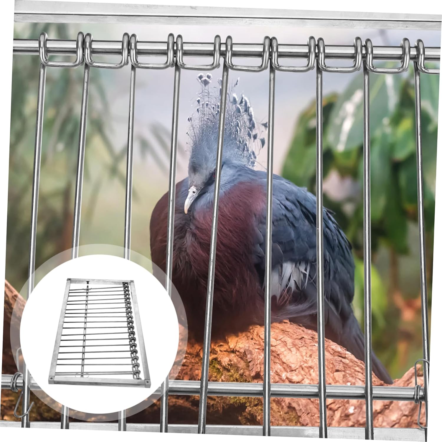 Yardwe Bird Cage Door for Pigeon Stainless Steel House Install for Racing Pigeons