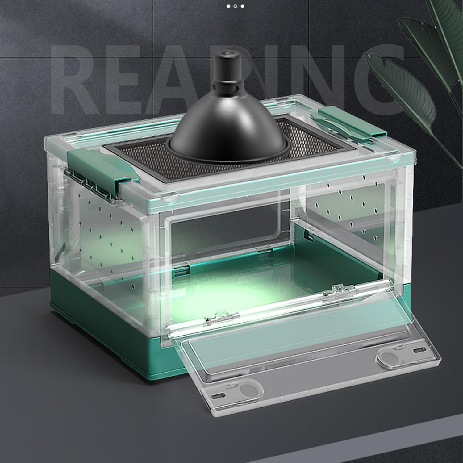 Reptiles Enclosure Spacious Featuring Removable Feeding Basin & Ventilated Holes Design Multipurpose Reptiles Vivarium