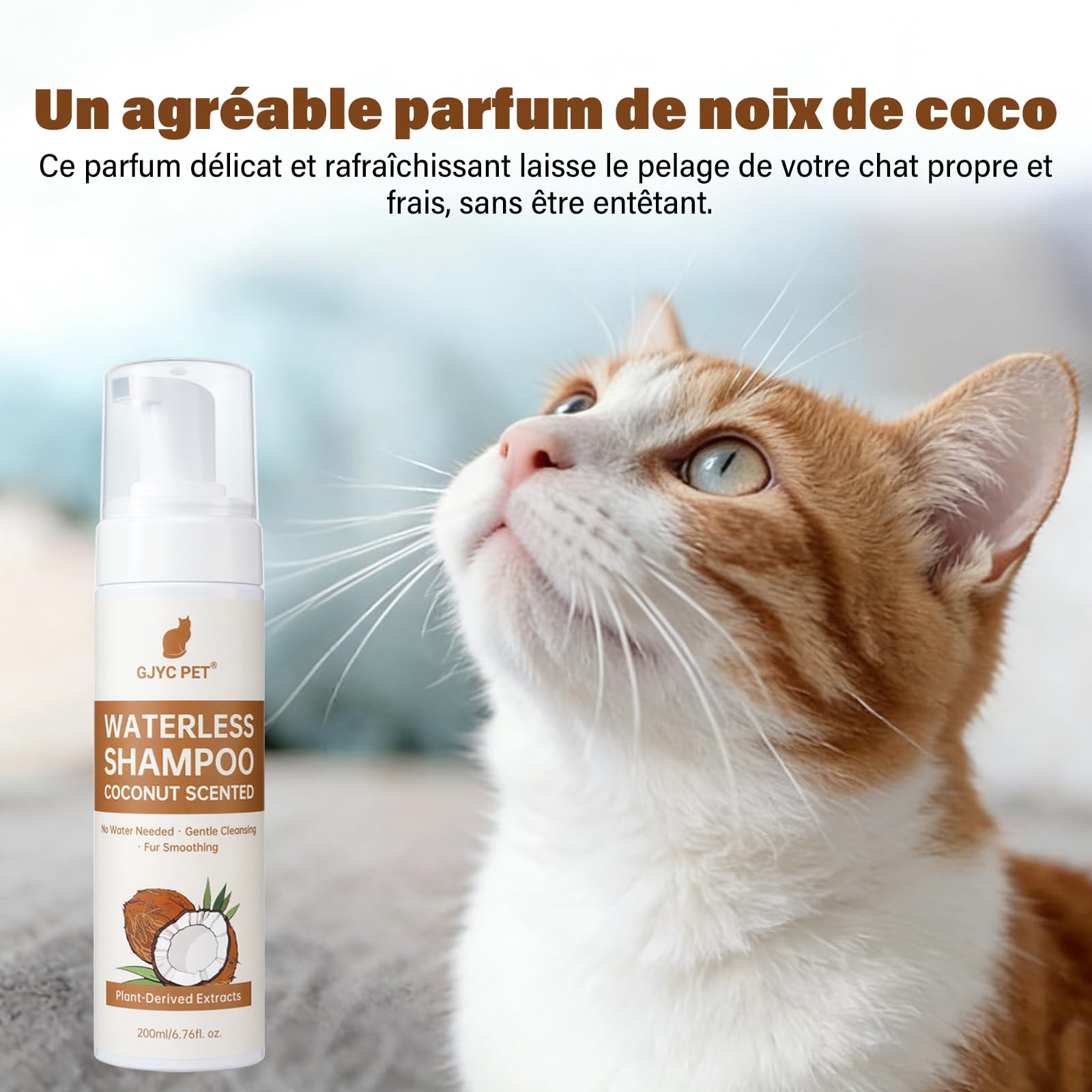Shampoing Sec pour Chats – 200 ML, Parfum Noix de Coco, pH Neutre pour la Peau, nettoie et Prend Soin en Douceur, démêle et Hydrate – Convient aux Peaux sensibles