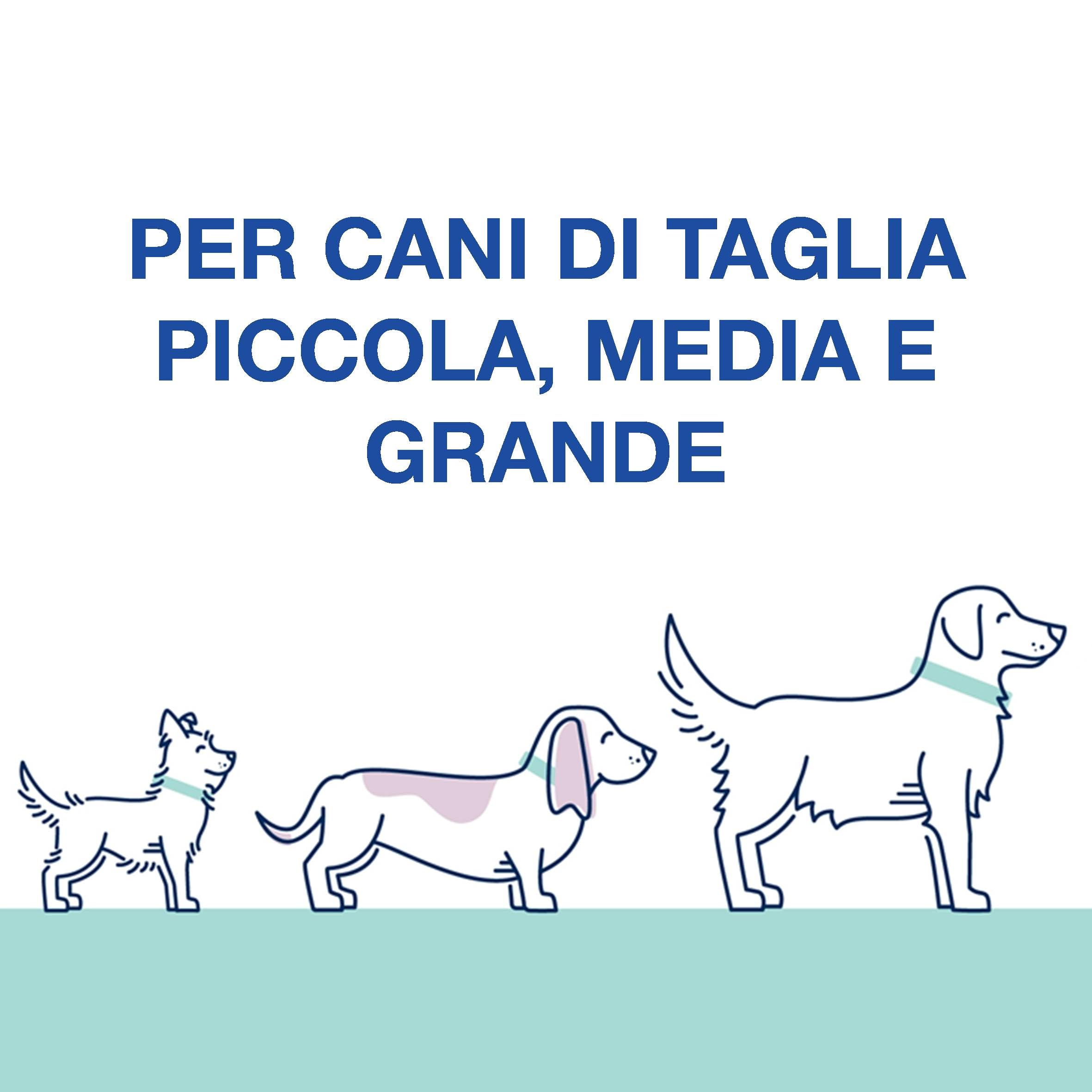 Gioco Interattivo per Cani Cuccioli e Grandi - Stimolazione Mentale, Riduzione della Noia, Miglioramento del Comportamento, Esercizio Fisico - Alimentatore Divertente e Durevole