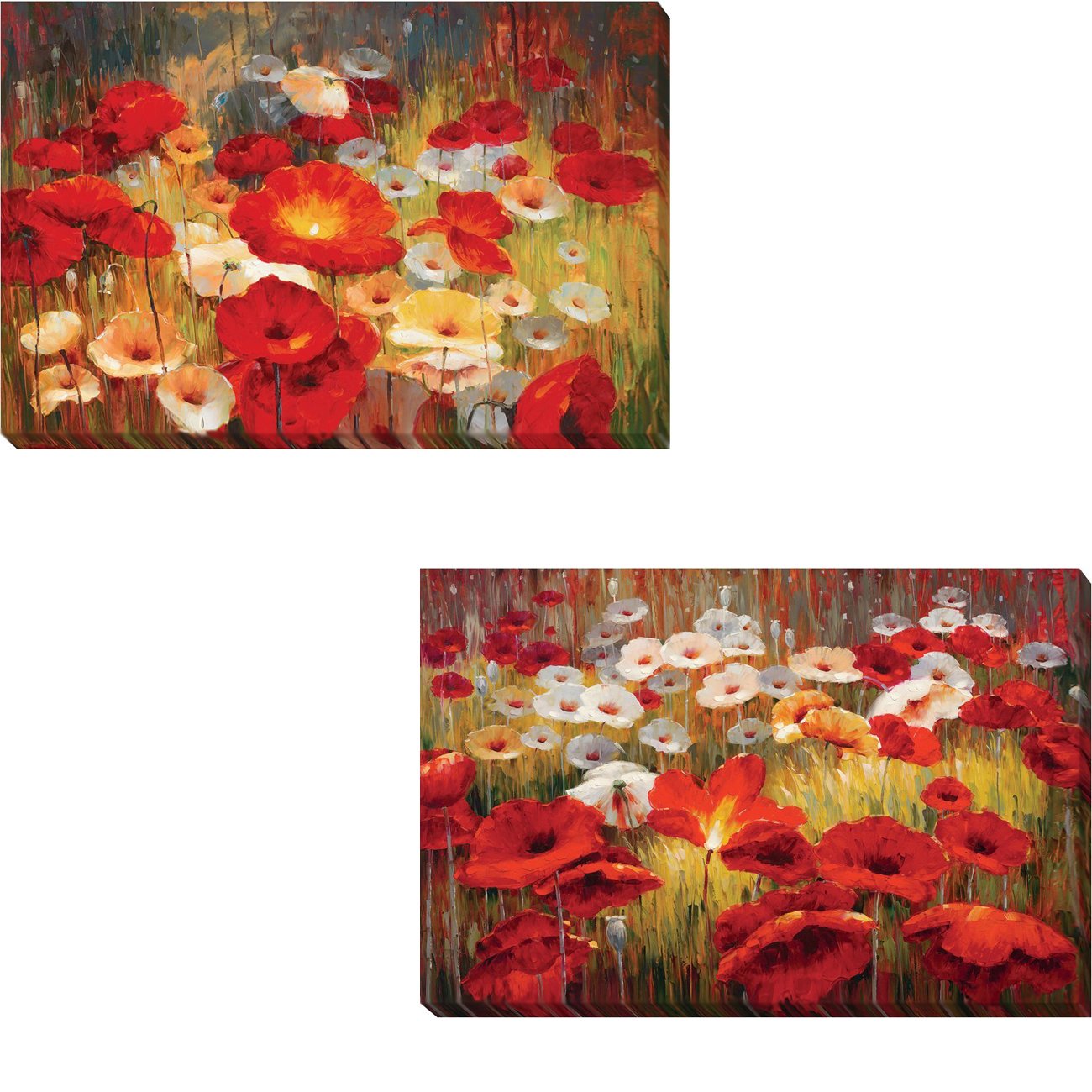 Meadow Poppies I & II by Lucas Santini 2-pc Premium Gallery Wrapped Canvas Giclee Art Set (16 in x 24 in Each Canvas in Set, Ready to Hang)
