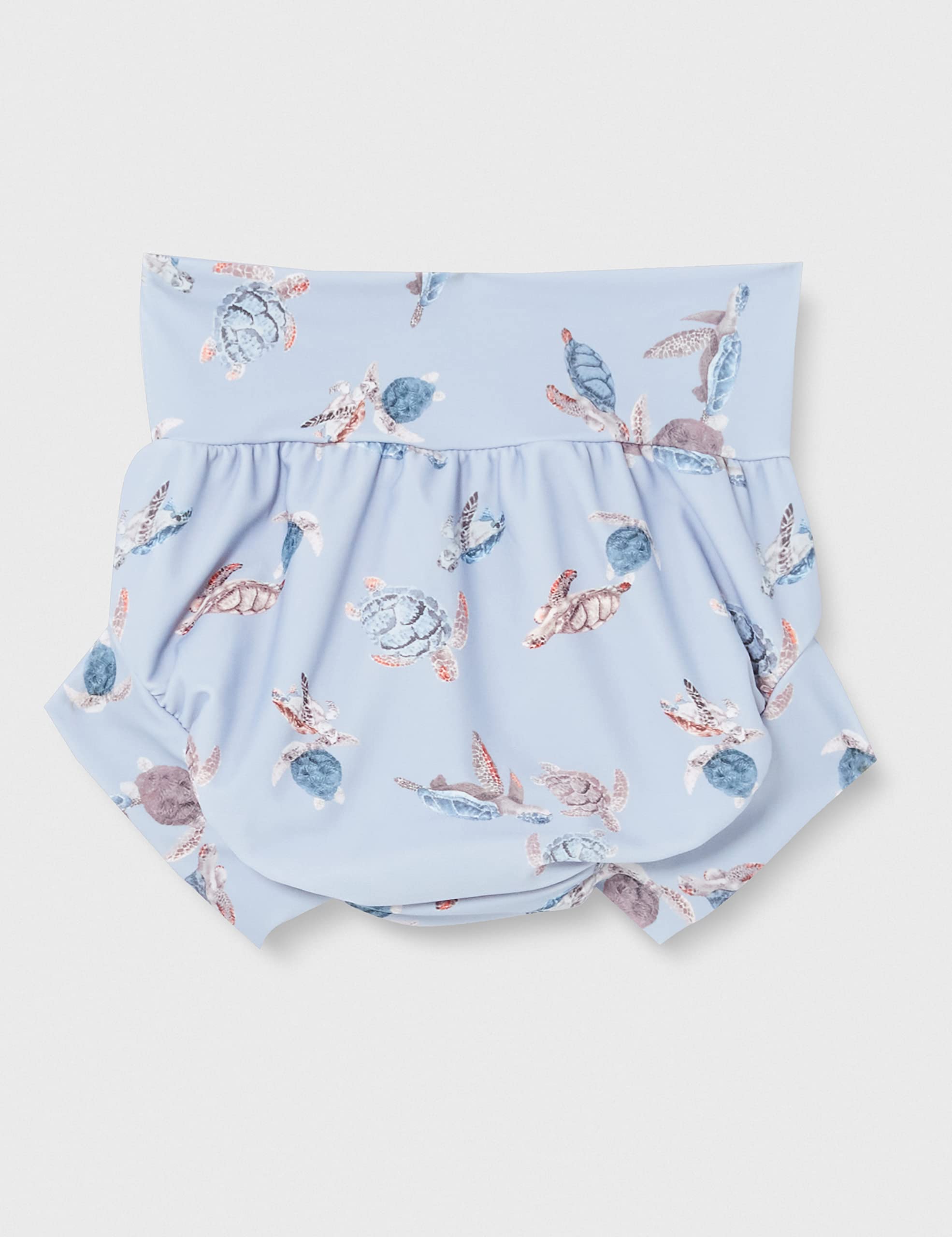 name it NMMZAMUS Brief W. Shield