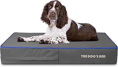 Miniatura 42 de The Dog's Bed - Cama ortopédica de espuma viscoelástica para perro, grande gris y negro, impermeable, cama de apoyo con fundas reemplazables, negro