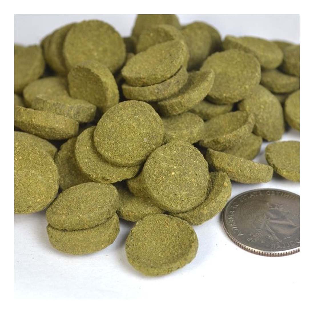Snapklik.com : Spirulina Veggie Algae Wafers Pleco Catfish Tropical ...