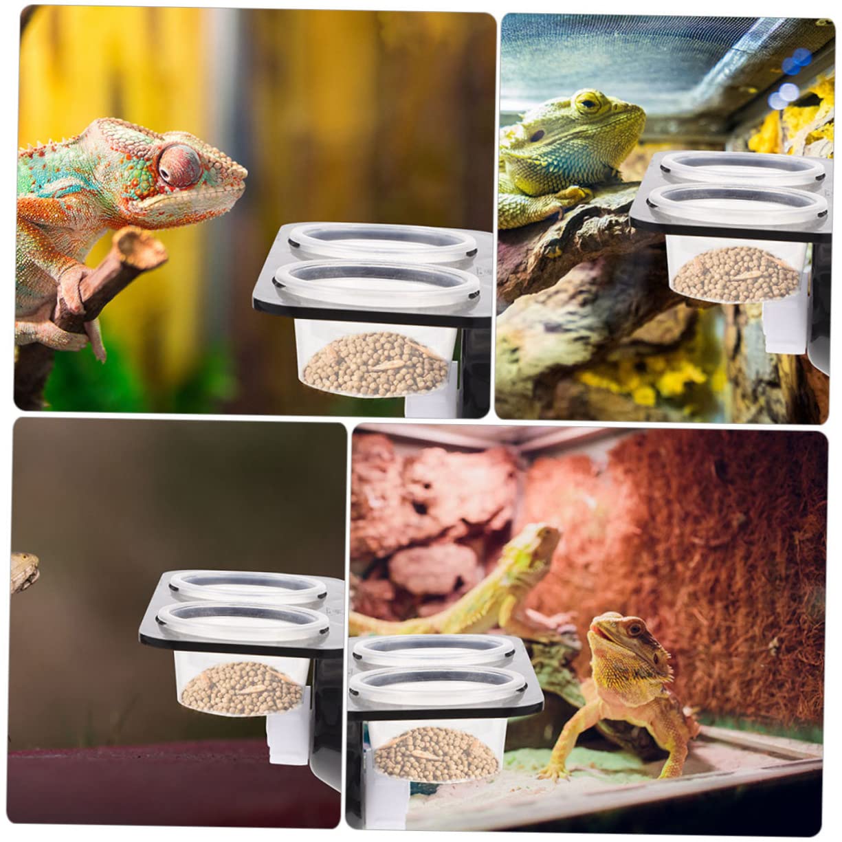 FOMIYES 4sets Mangiatoie per Rettili con Design per e Facile Installare Accessori per Terrari Ciotole Colori Variabili