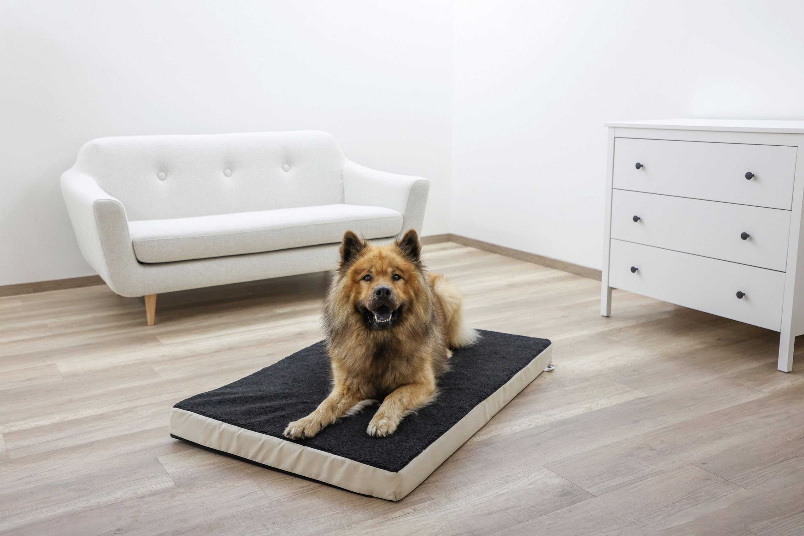 Kerbl Pet Colchón Memory Foam, cojín ortopédico para Perros, colchón para Perros, Beis, Antracita, 80 x 50 x 8 cm, poliéster, Felpa, ortopédico, Antideslizante, Forro extraíble