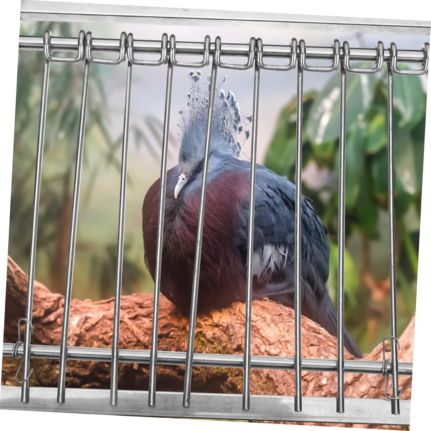 Kisangel Stainless Steel Entrance Door Durable Bird Cage Accessory for Racing Automatic Activity and Home Use