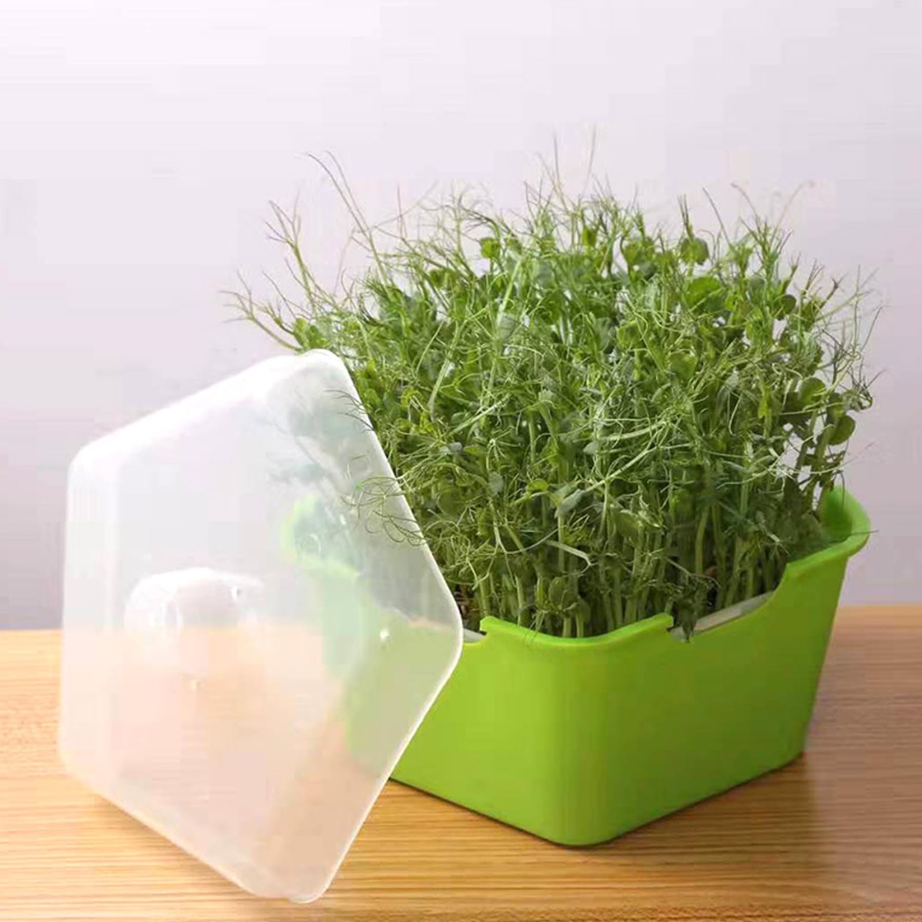 Plateau d'empotage sans sol pour culture hydroponique propre et germination rapide à la maison