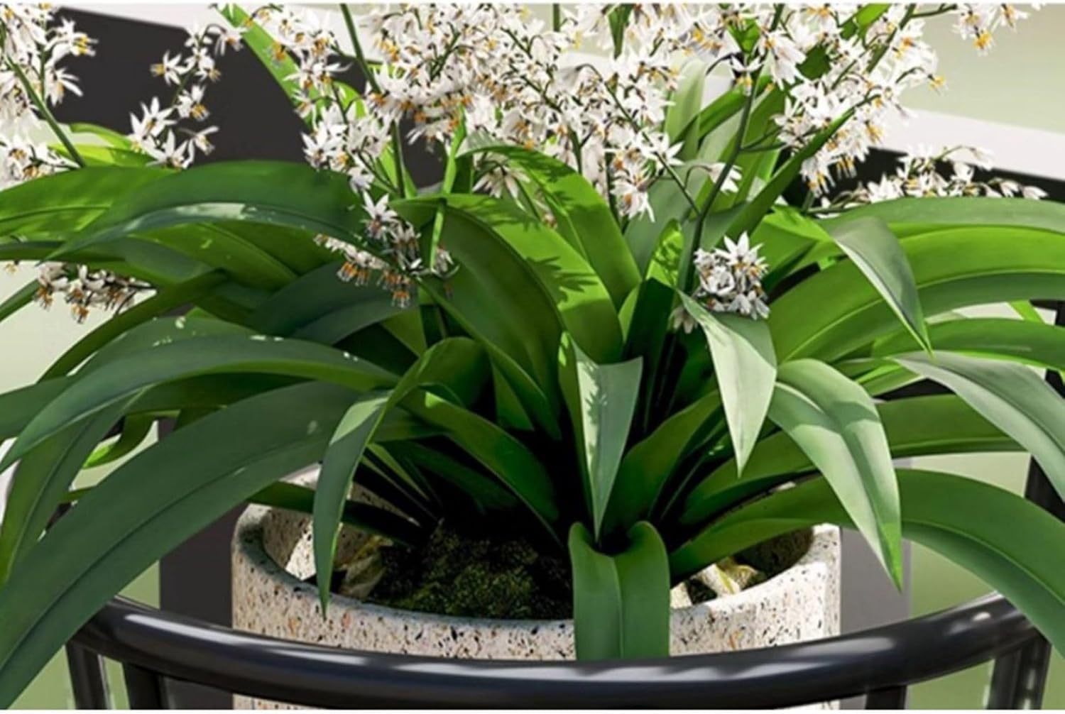 Amazon | ガーデンラック フラワースタンド 植木鉢 吊り下げ式 掛ける