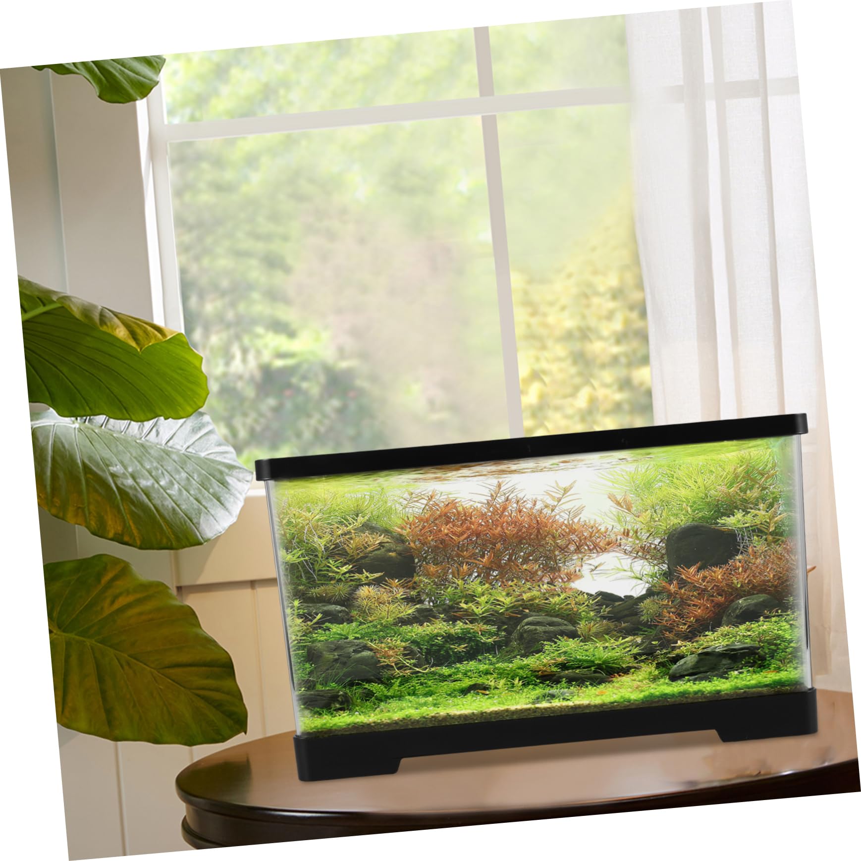 Happyyami Mini Aquarium Aquarium Kit Tank Desktop Schildkröte Zucht Box
