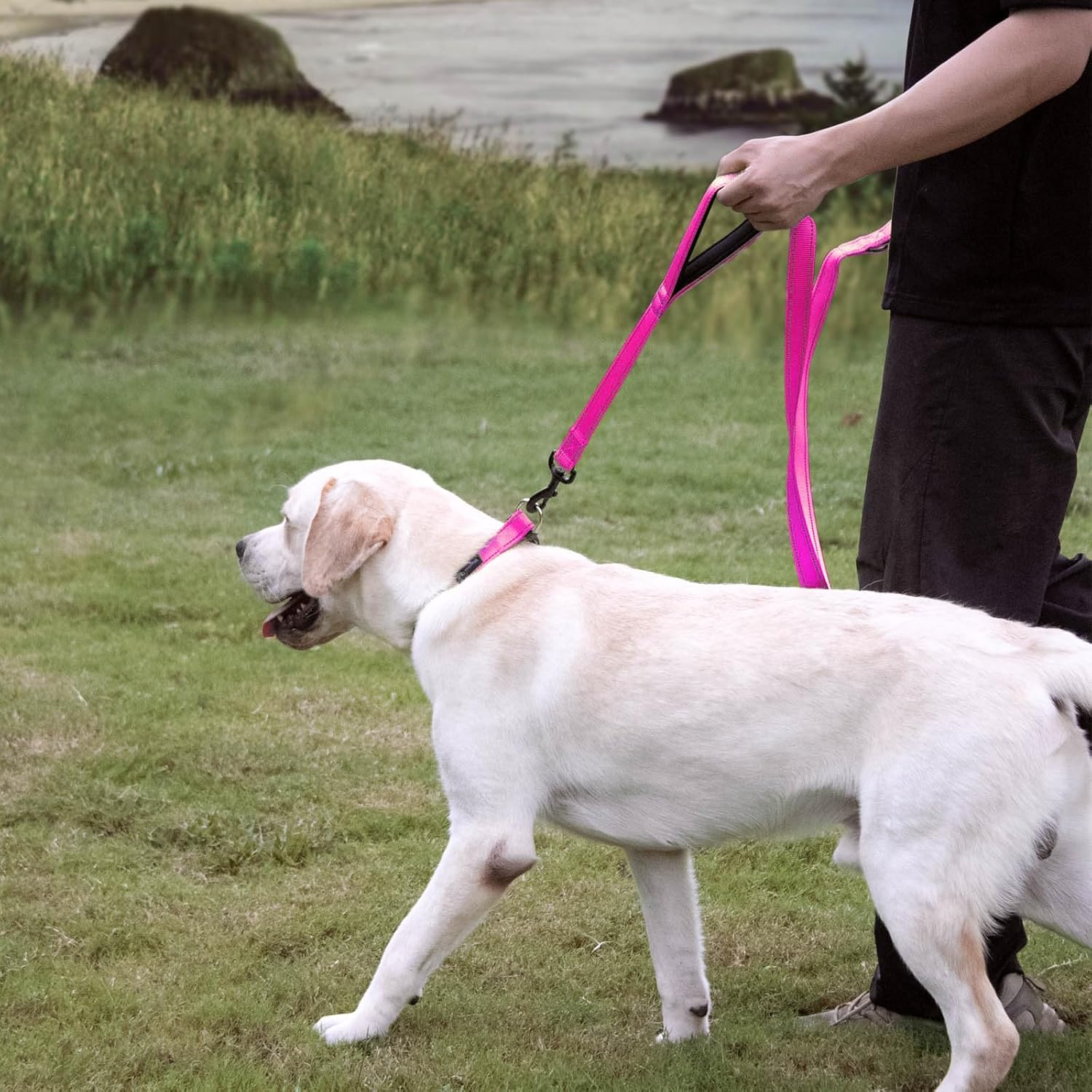 Wagtime Club 5FTX3/4'' Double Handle Traffic Dog Leash for Medium Small Dog | Reflective Training Leash with 2 Padded Handles(Lively Pink)