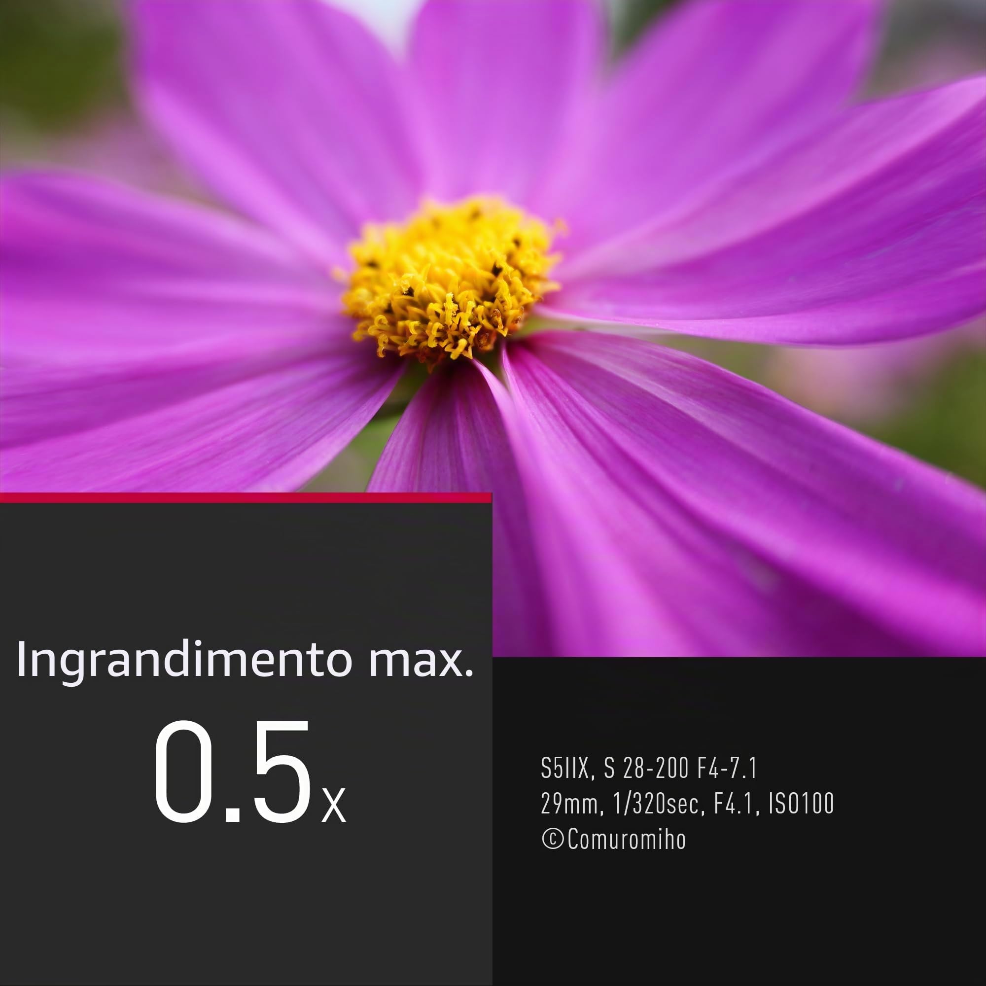 Panasonic Lumix S-R28200E 28-200 mm F4.0-7.1 Macro OIS, Obiettivo per Fotocamera Full Frame, Zoom Ampio e Lungo, Dual IS 2, Resistente a Polvere/Schizzi/Gelo, Ottimo per Video 4K, Nero