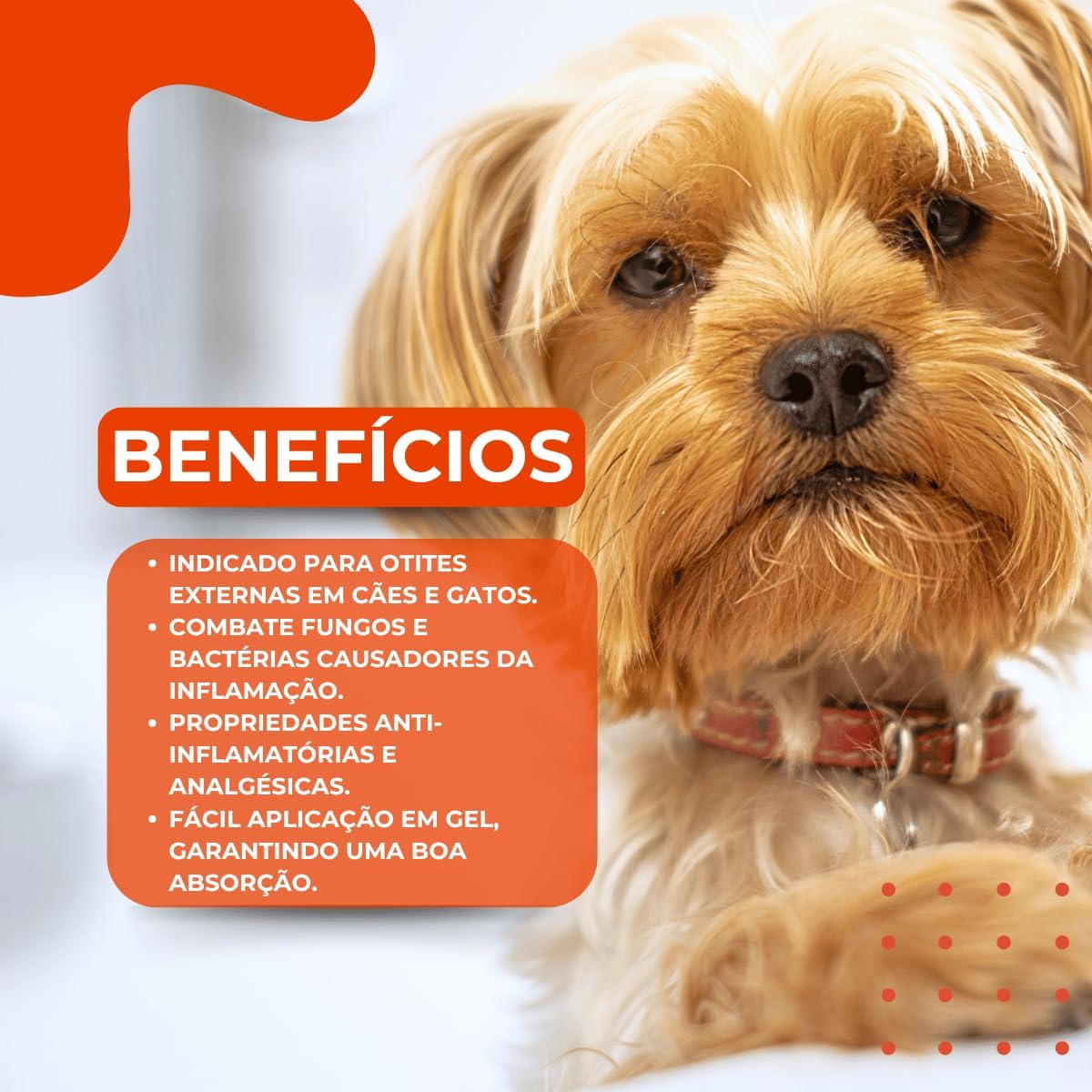 Gel Otológico Auritop 15G, antibacteriana e antifúngica