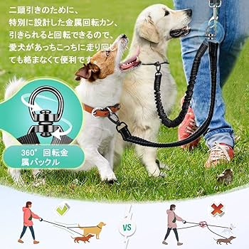 【チ】リード2本 311nQXEmKgS._UF894,1000_QL80_.jpg