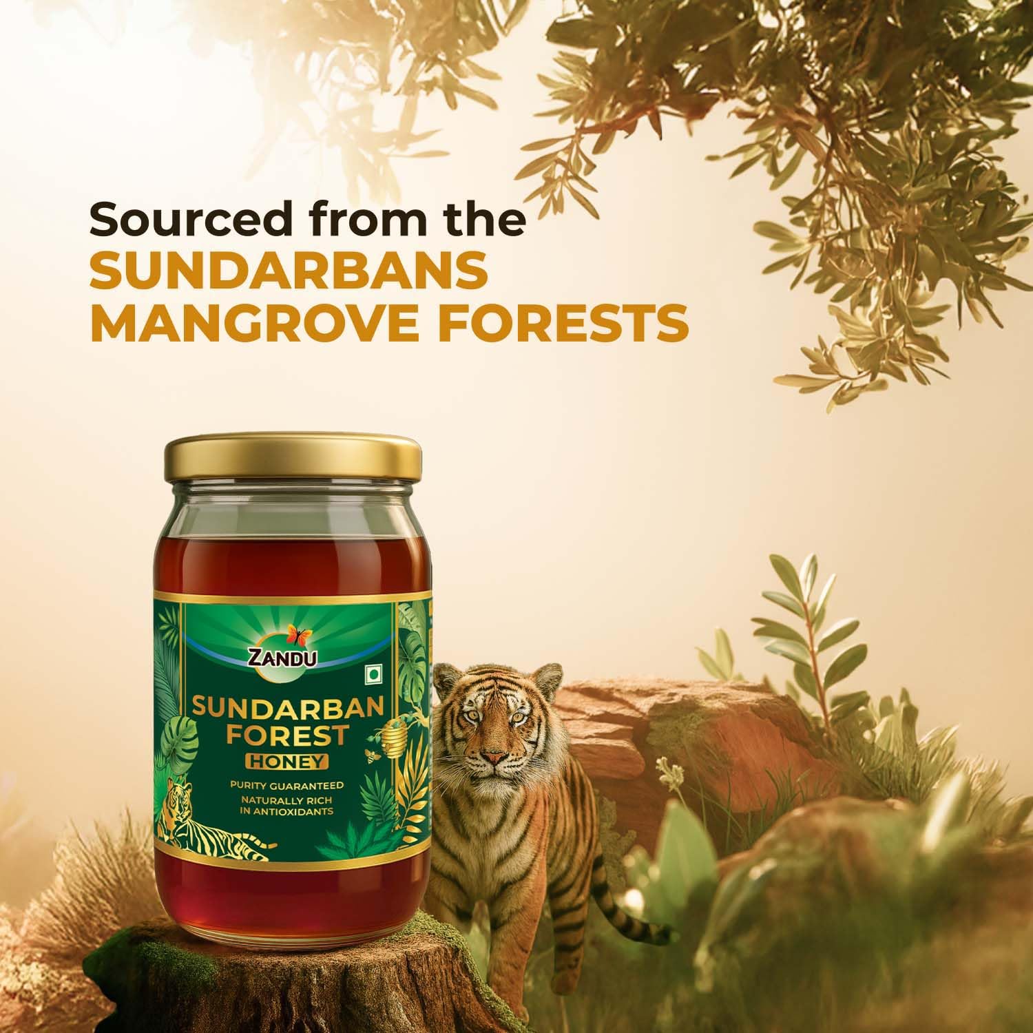 Zandu Sundarban Forest Honey 500g | Pollen Rich Mangrove Honey | Signature Taste | No Sugar Adulteration | Antioxidant-Rich