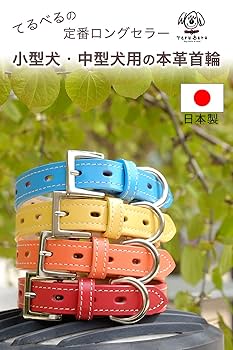 Woof Wear 本革首輪＆リード ターコイズ ×ブラウン bad tail Woof Wear 本革首輪＆リード ターコイズ ×ブラウン bad tail