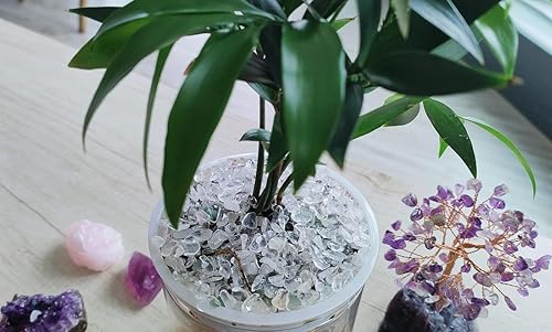 Vista 48 de ZHIYUXI Piedras de cristal de cornalina para pecera, grava, jarrón de relleno, cristales triturados, cristales curativos pulidos, piedra de cuarzo K