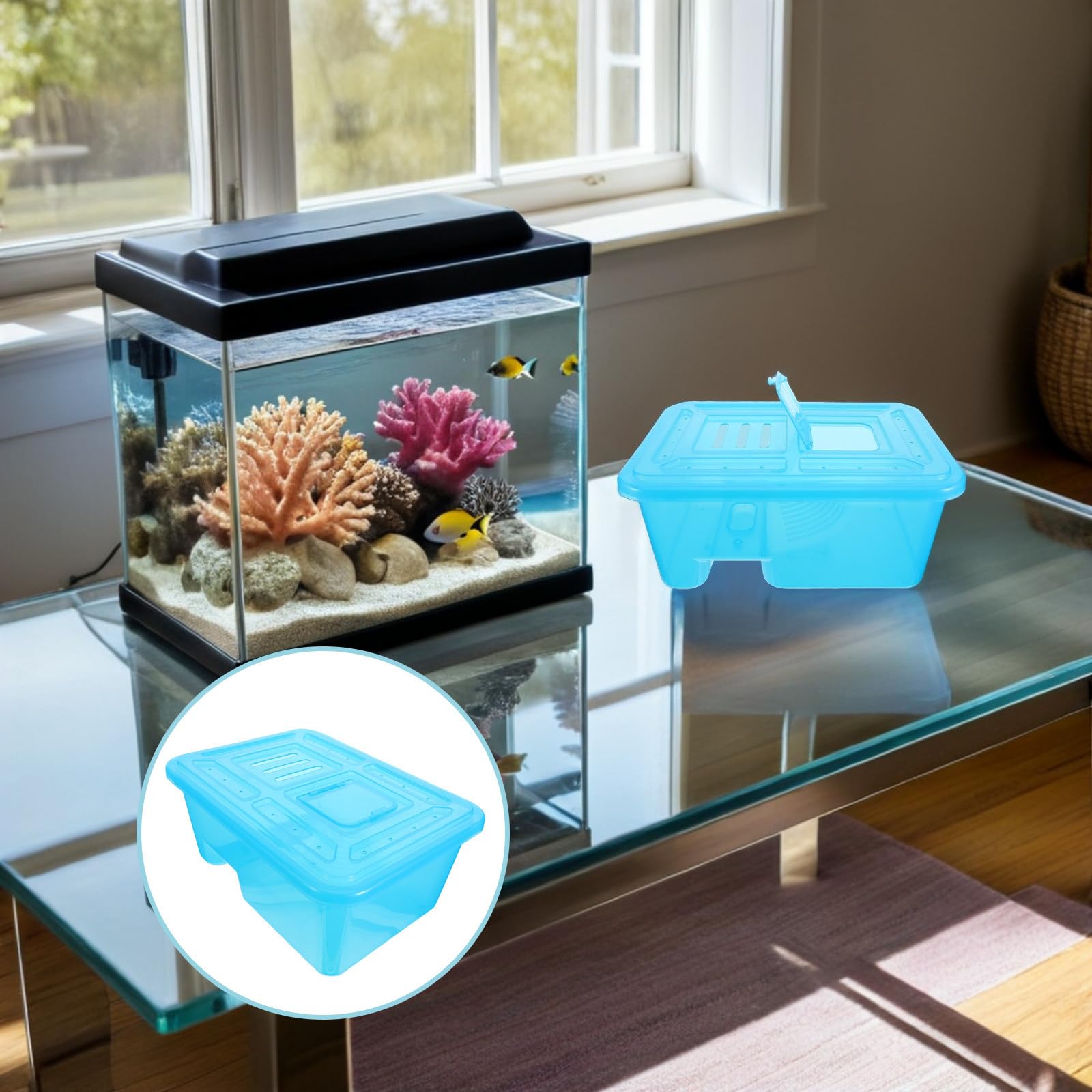 Lurrose Terrario Che Separa Acqua e Zona Asciutta in ABS per Tartarughe con Piattaforma Solare Rimovibile e Base Allargata, Design Trasparente per Spazi Piccoli e Davanzali