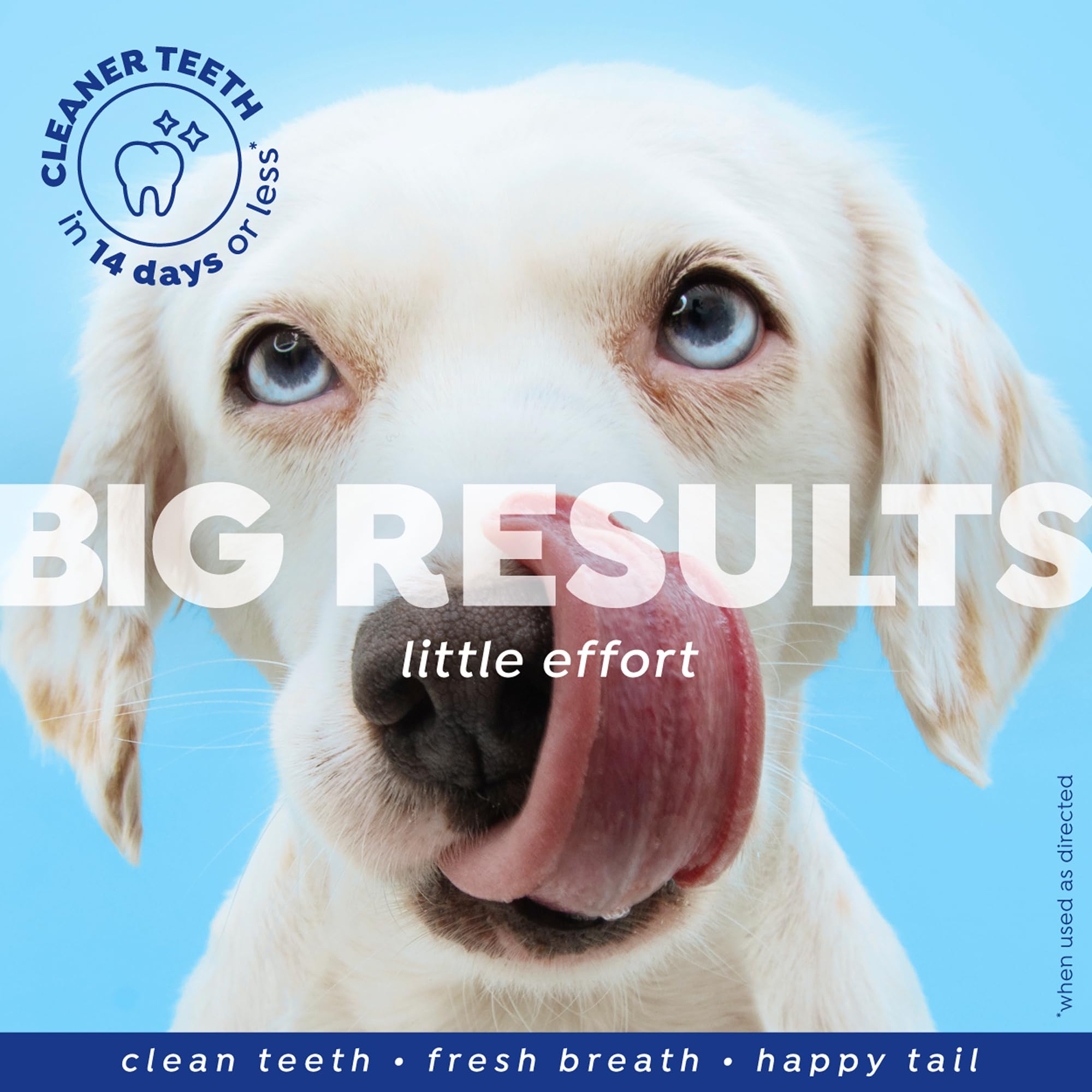 Natur&eacute;l Promise Fresh Dental Hip and Joint Supplement & Dental Water Additive for Dogs, 18oz Bottle - image 4