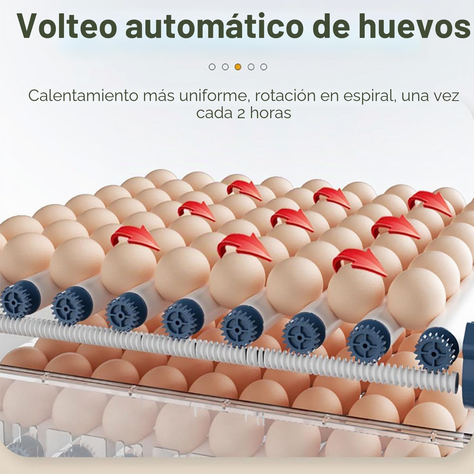 Genérico Incubadoras para Huevos Incubados, Incubadora De 64/128/192/300 Huevos, con Volteo Y Humidificación Automáticos, Incubadora para Huevos De Gallina Y Codorniz(300eggs)