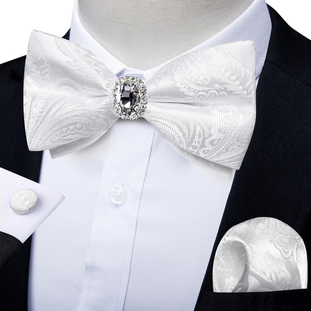 Pajarita con Joya para Boda, para Hombre, con Nudo para Negocios, Juego de pañuelo (Gris Claro)