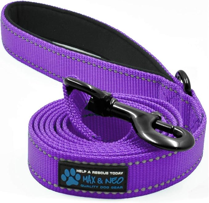 The 12 Best Leashes For Dogs That Pull