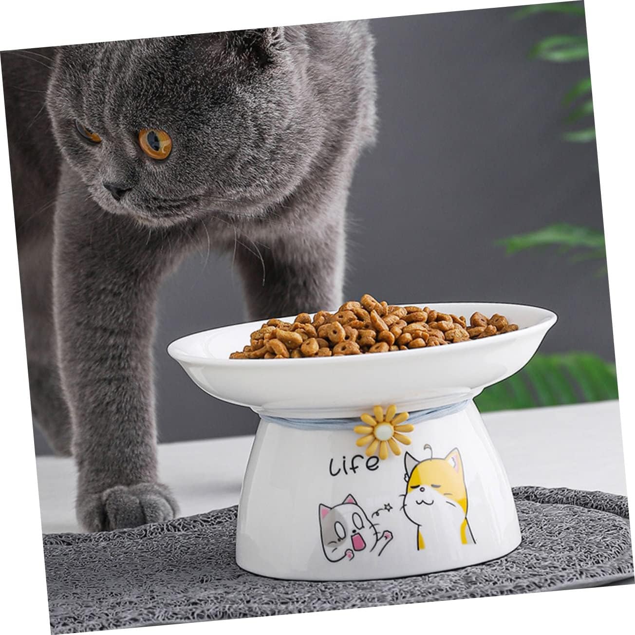 BESPORTBLE 1set Cat Elevated Bowl Smooth Cat Feeder for Food Water Non-Slip Design for Neck Protection Comfortable Mealtime