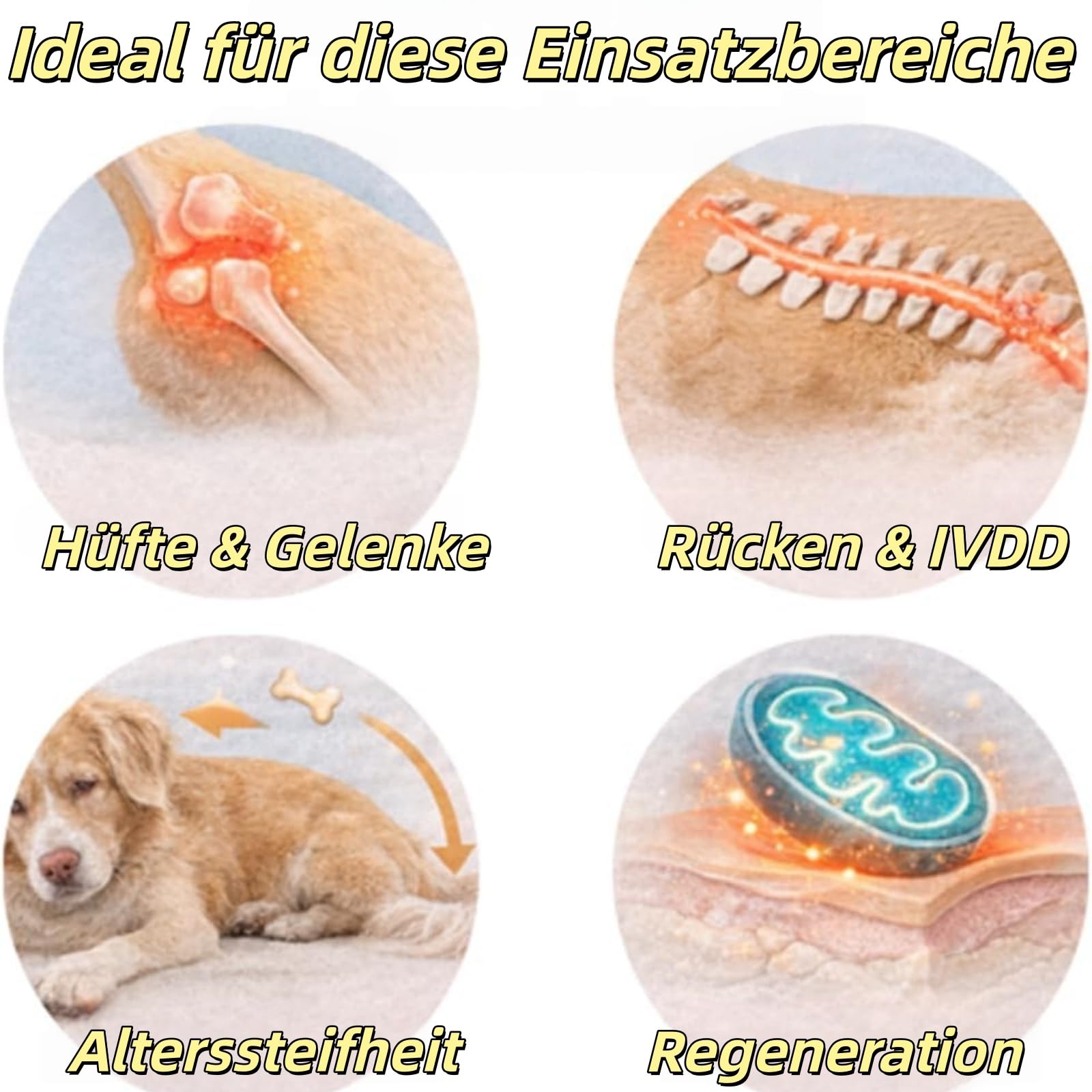 Rotlicht-Therapiematte für Hunde und Katzen, 660nm & 840nm Infrarotrotlichttherapie, Schmerz- & Gelenkunterstützung, Sichere Wärmetherapie, Einfache Anwendung zu Hause