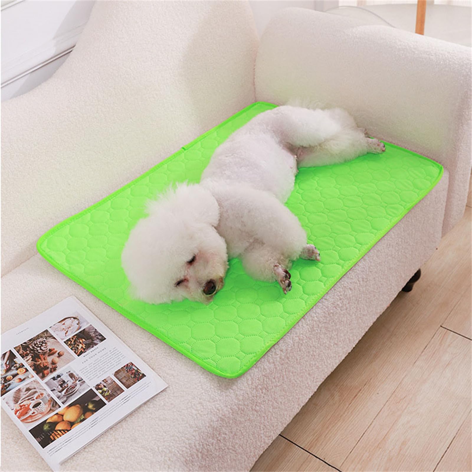 Lukery 2 Pack Washable Pee Pads for Dogs, Waterproof Reusable Dog Pee Pads Non-Slip Soft Pet Diaper Pads Fast Drying Puppy Training Pads for Home,Travel, Car (XL(100 * 70cm),Green)