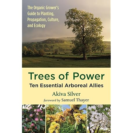 Trees of Power: Ten Essential Arboreal Allies - An Ayurvedic Guide to...