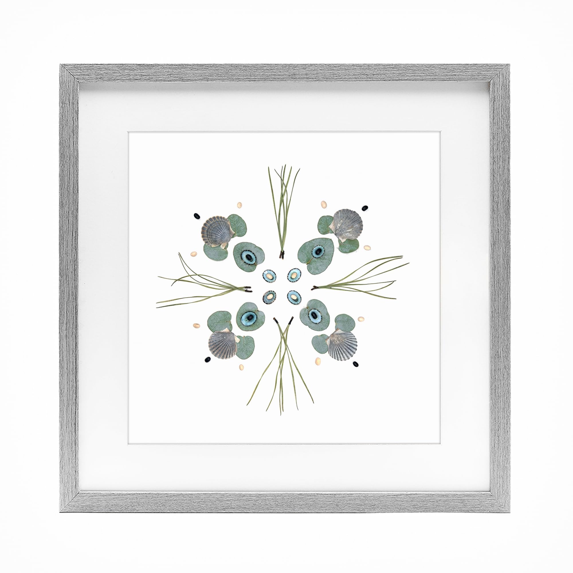 Stupell Industries Seashell Leaf Symmetry Arrangement 'Seashell & Leaf Symmetry', Framed Print Under Glass, Gray, 16 X 16 Inches, Easy To Hang And Sturdy, Made In Usa, By Beth Adoette