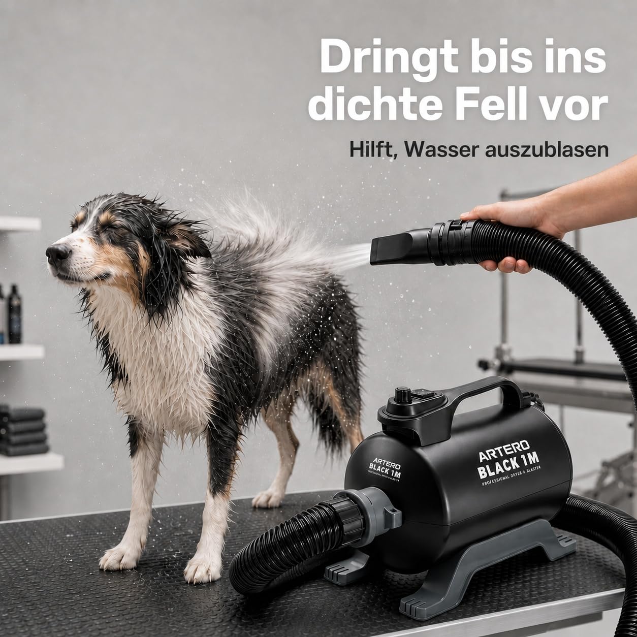 Artero Black. Blaster 1 Motor – Professioneller Hundeföhn, Hohe Leistung und Schnelles Trocknen des Fells