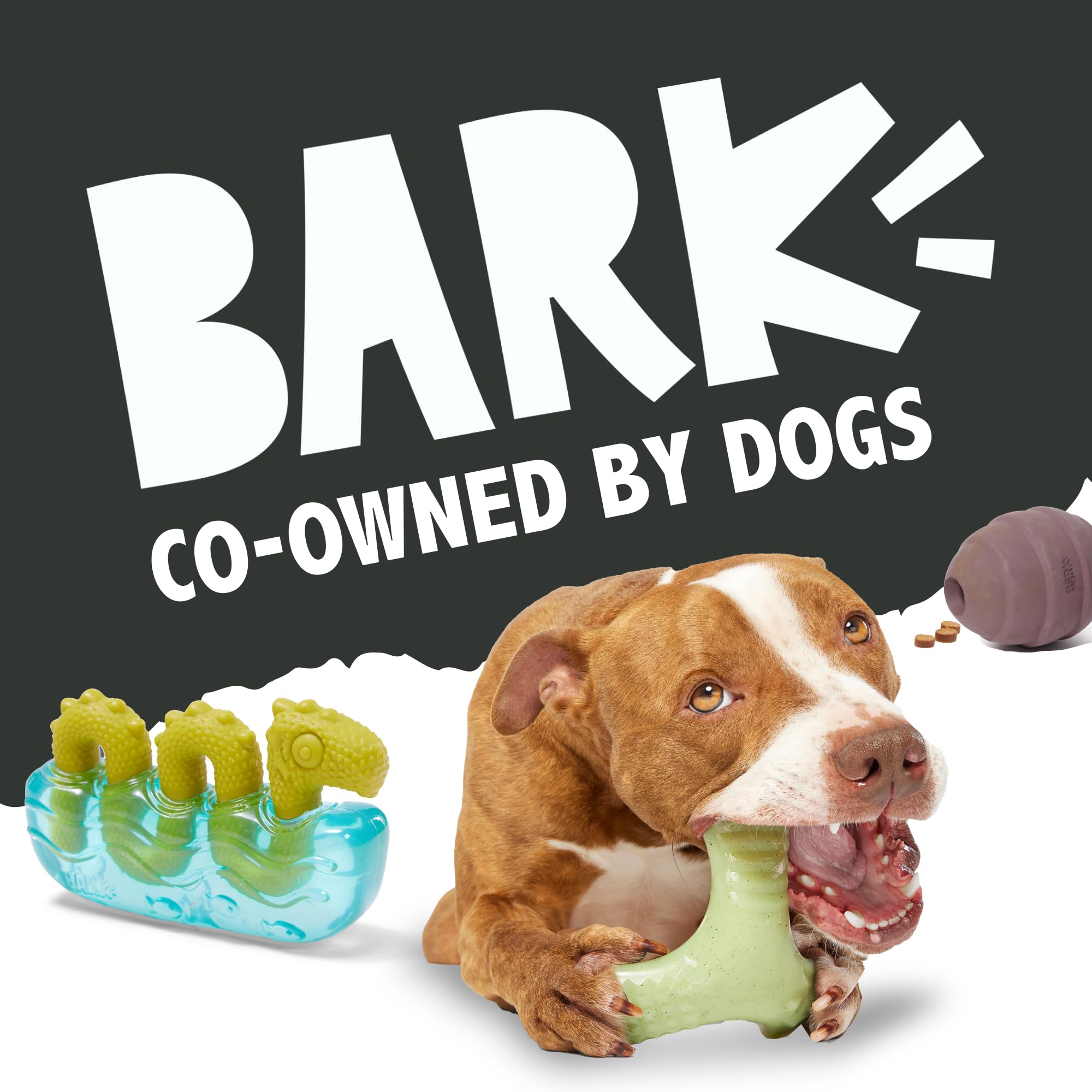 BarkBox Deep Sea Throwfish Dog Toy - Large Dogs -7