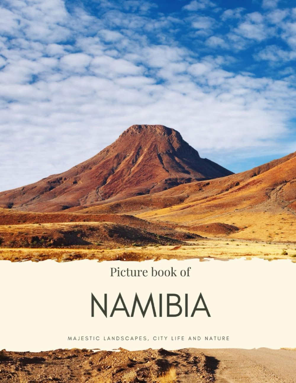 Picture Book of Namibia: Majestic Landscapes, City Life and Nature (Africa Coffee Table Books)