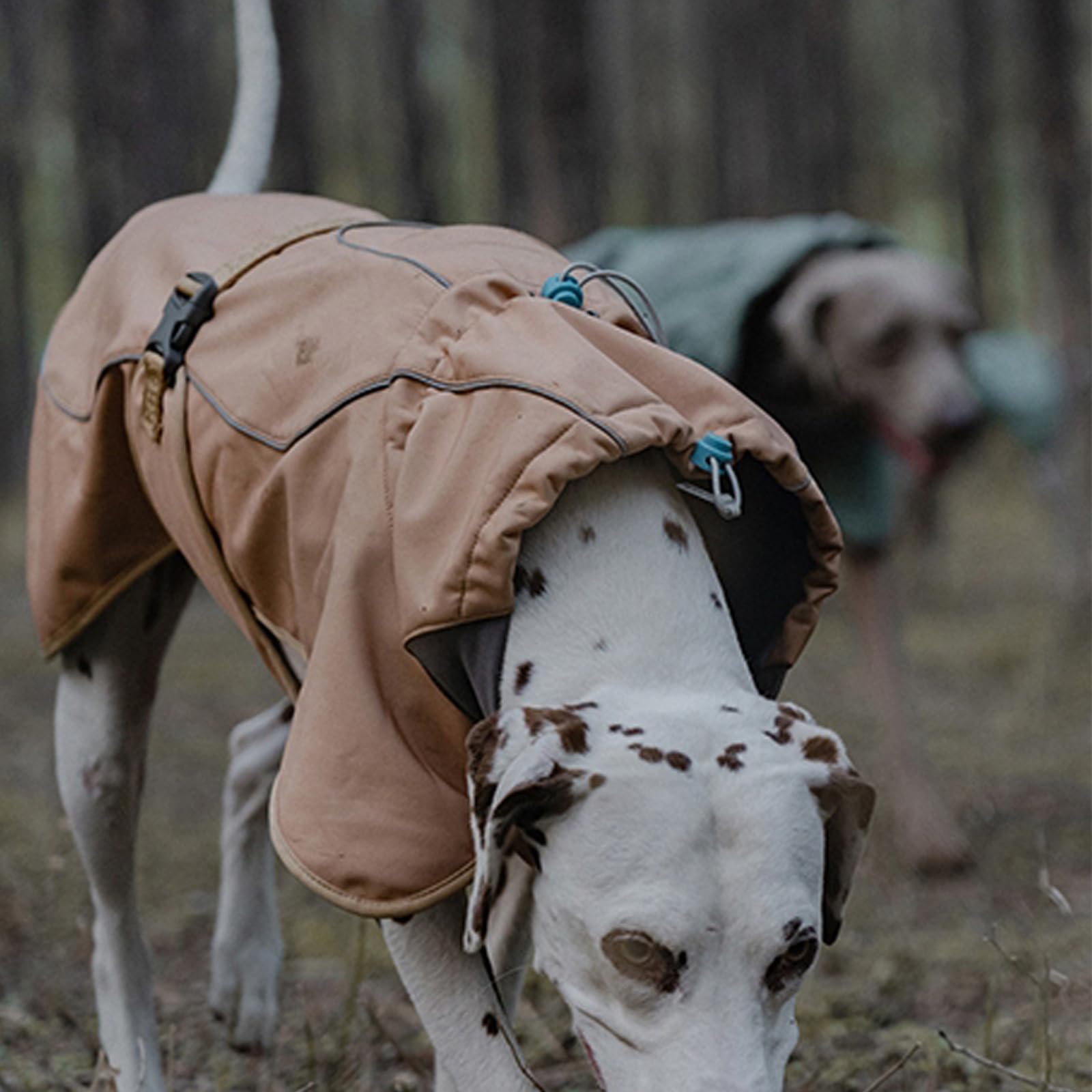 Abrigo Impermeable para Perro, Chaqueta de Cuello Alto Reflectante y Ajustable Abrigo de Invierno Softshell Chaqueta de Perro,Marrón,XXL