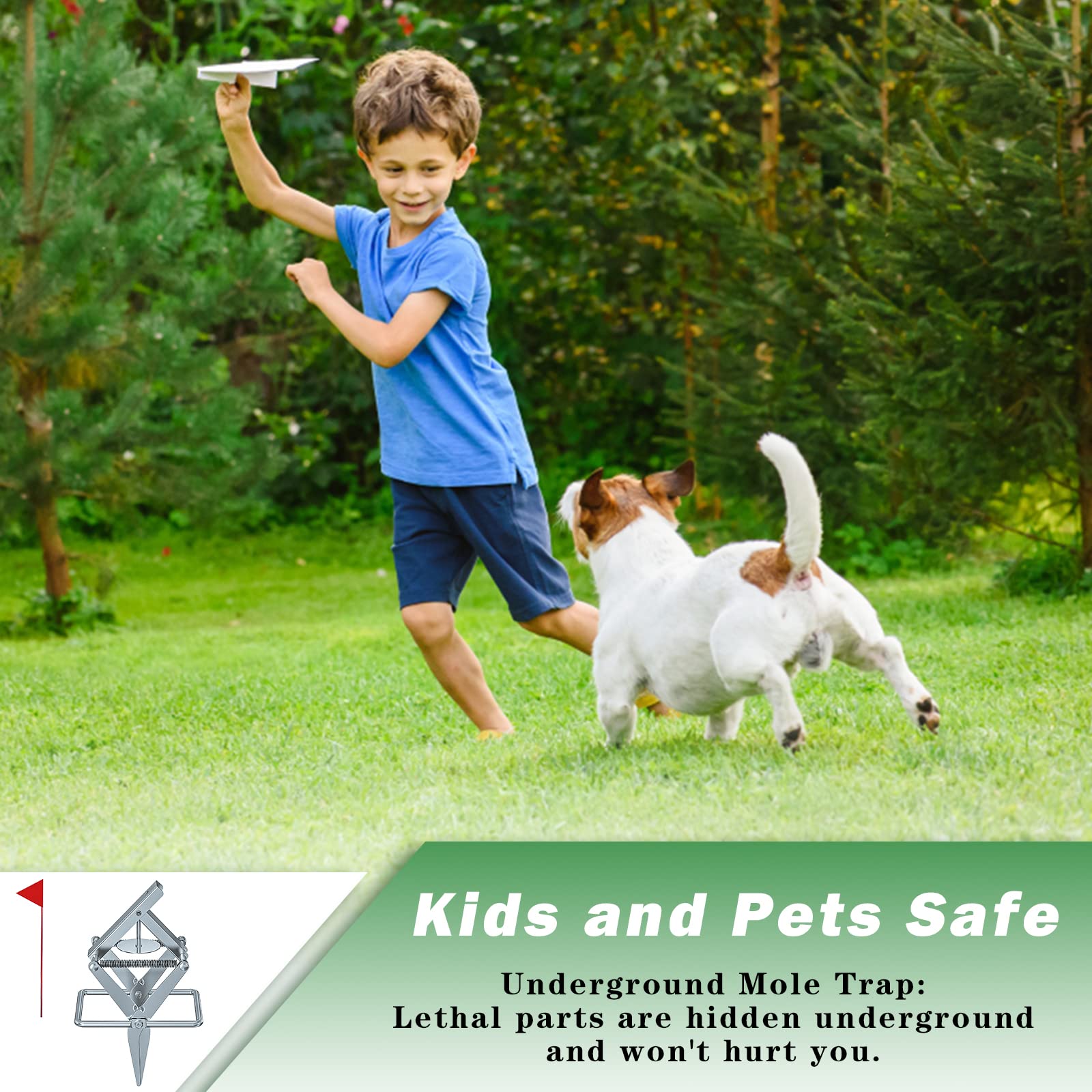 Are Mole Traps Safe For Dogs
