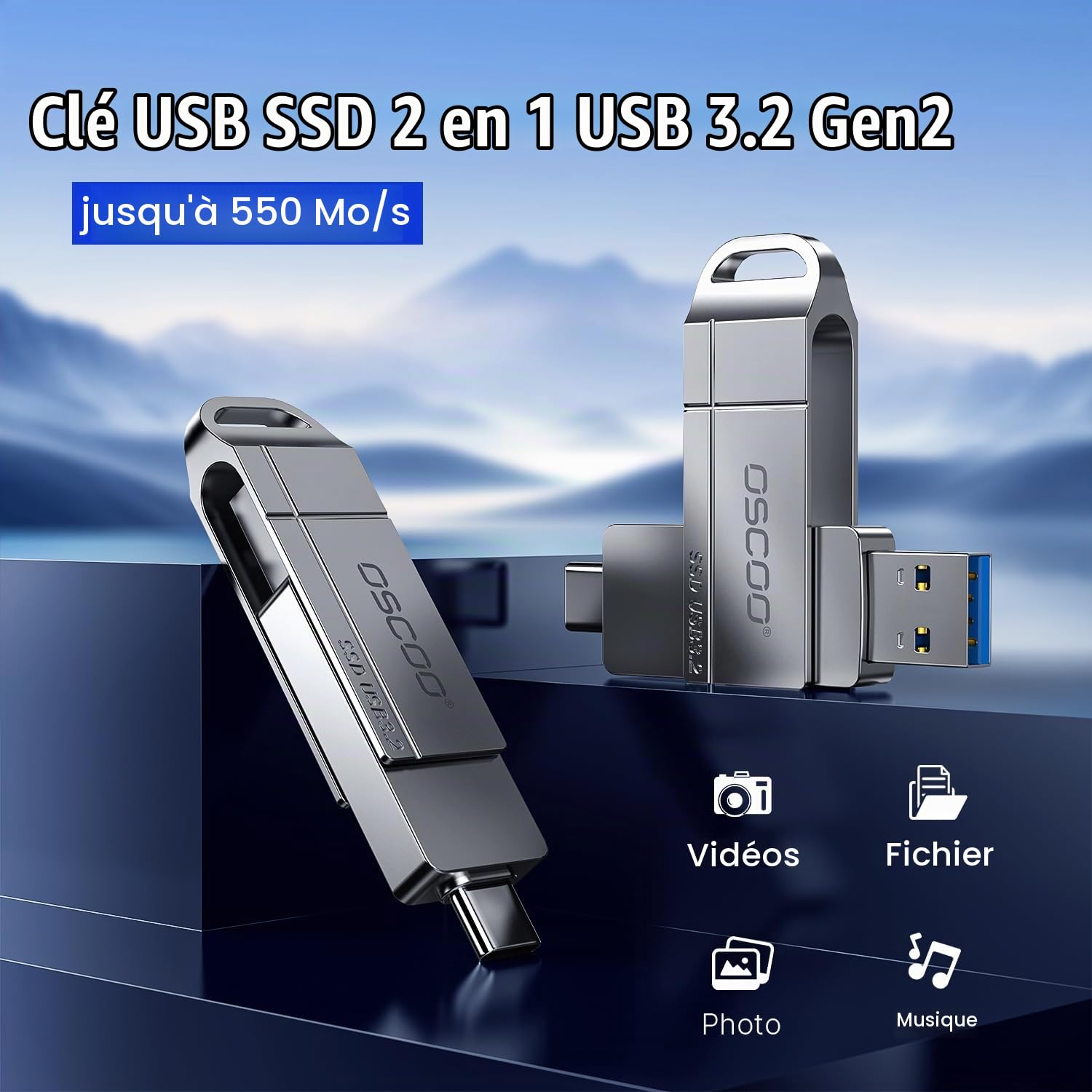 256Go Dual SSD USB Flash Drive,USB-A USB-C 550Mo / s Clé USB,Métal Pivotant