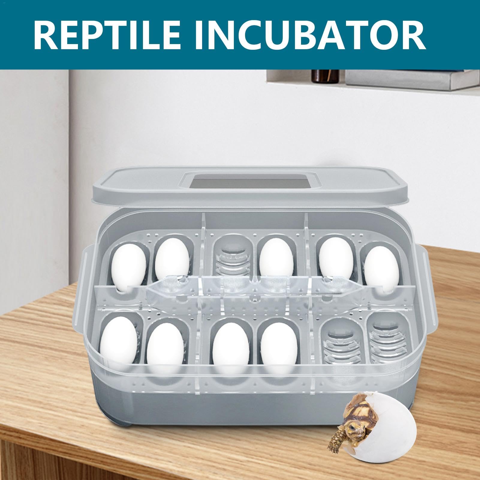 Incubatrice Rettili Incubatrice Per Uova Da 12 Posti, Trasparente, Con