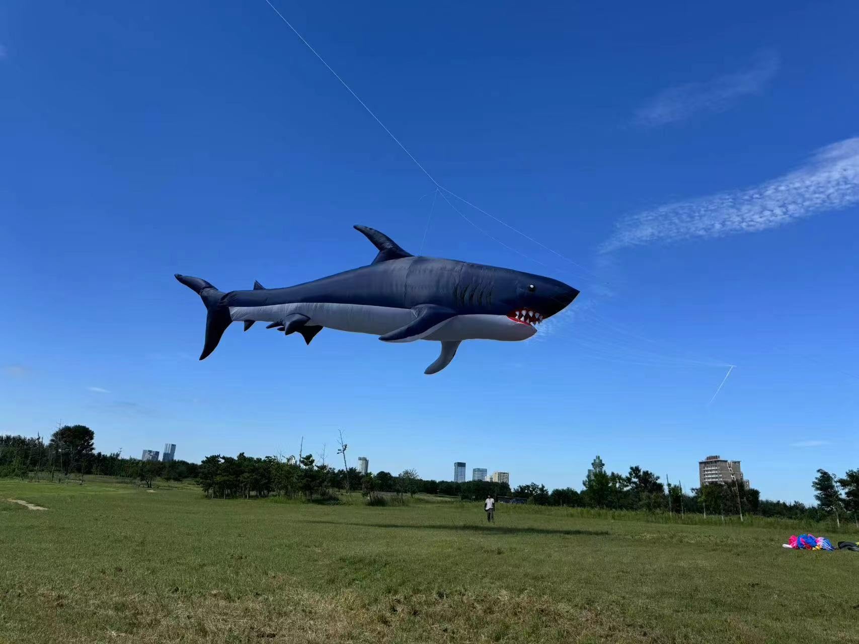 Cometa Tiburón Negro 49×53 Pulgadas Con Cuerda De 30m – Fácil De Volar, Resistente Al Viento, Ideal Para Playas Y Parques