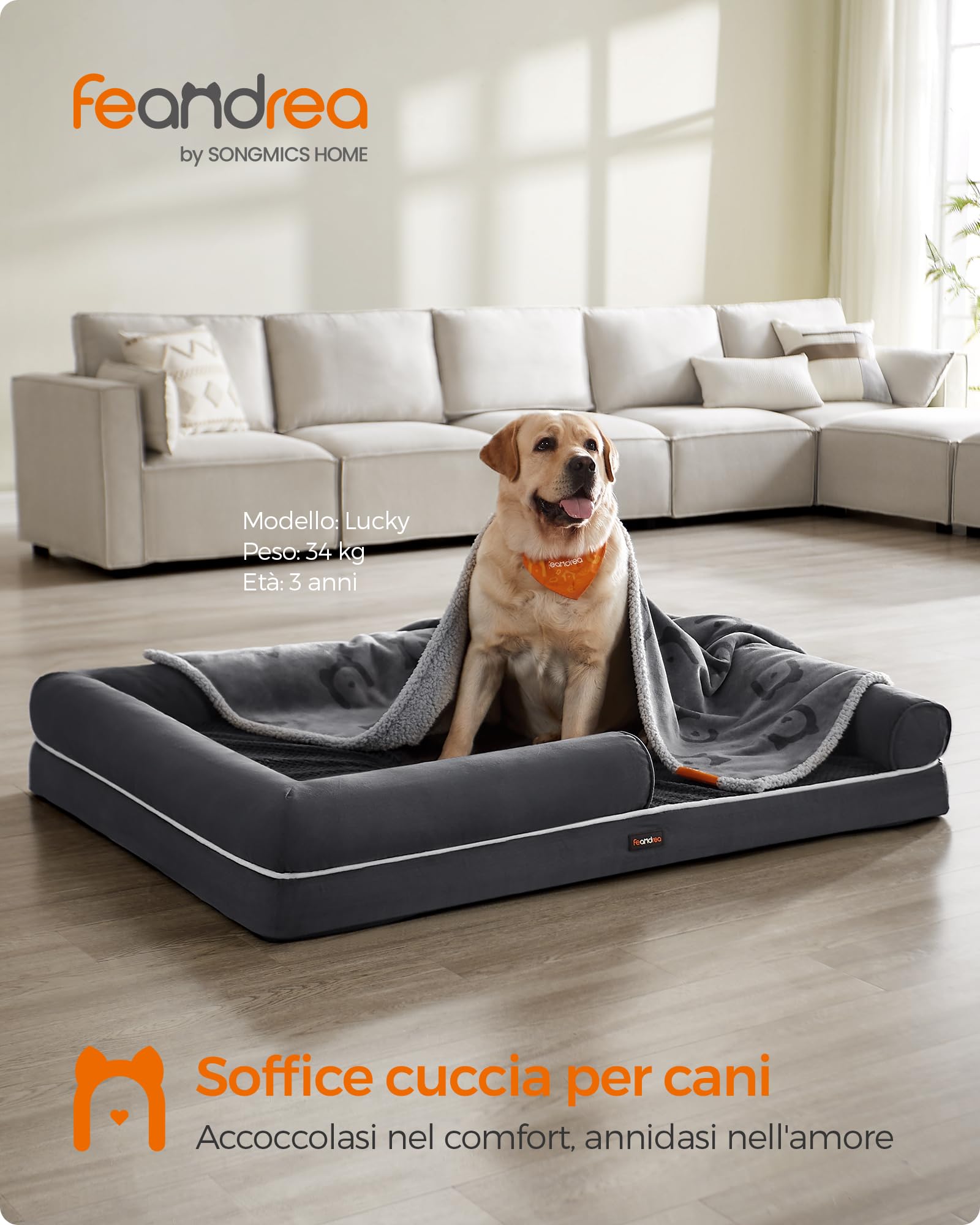 Feandrea Cuccia per Cani Ortopedica, Letto Divano per Animali, Imbottitura Morbida, Bordi Rialzati, Copertura Sfoderabile e Lavabile, 135 x 107 x 25 cm, Fondo Antiscivolo, Grigio Scuro PGW079G01