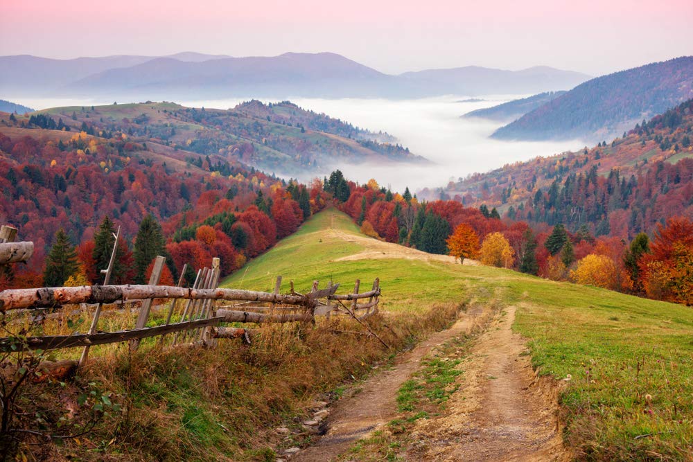 Great View of Tree |Motivational Poster|Funky Poster|Posters for Life|Inspirational Posters|All time Poster|Posters for Life|Home Décor Posters|HD Print|Sticker Poster|Sticker Paper Used by 5 Ace