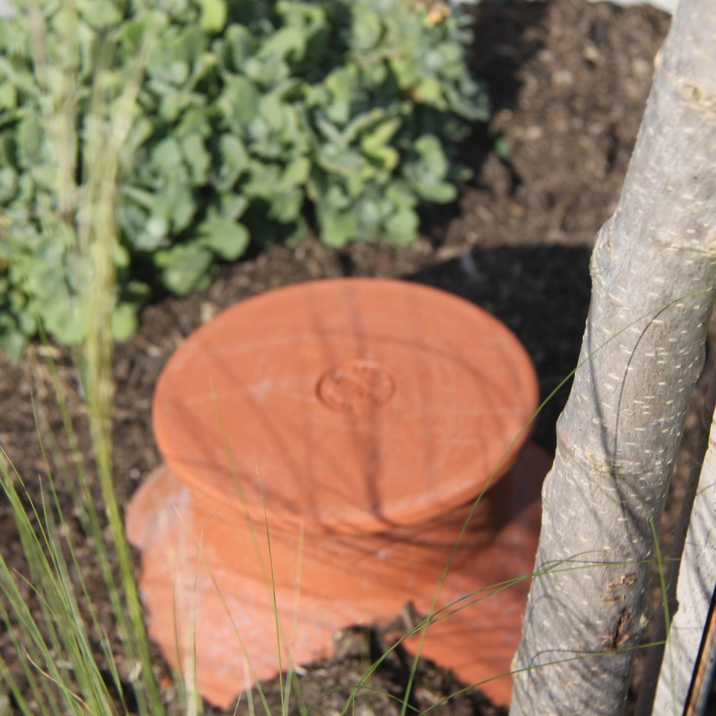 Duo d’Ollas Jardinier Taille XL 8 L – Fabrication Française – Arrosage Autonome Naturel et Économique pour Potager et Jardin