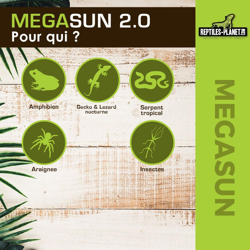 Reptiles Planet - MegaSun UVB 2.0 - Lampadina UVA UVB - 26 W