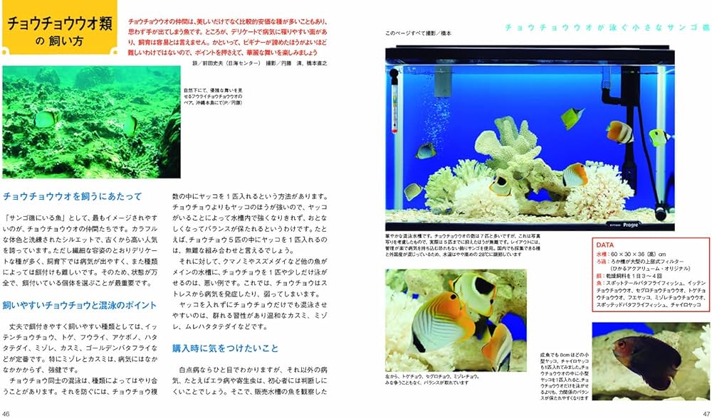 アクアリウム関連書籍26冊セット アクアライフ他 アクアライフ｜特典つき定期購読 - 雑誌のFujisan