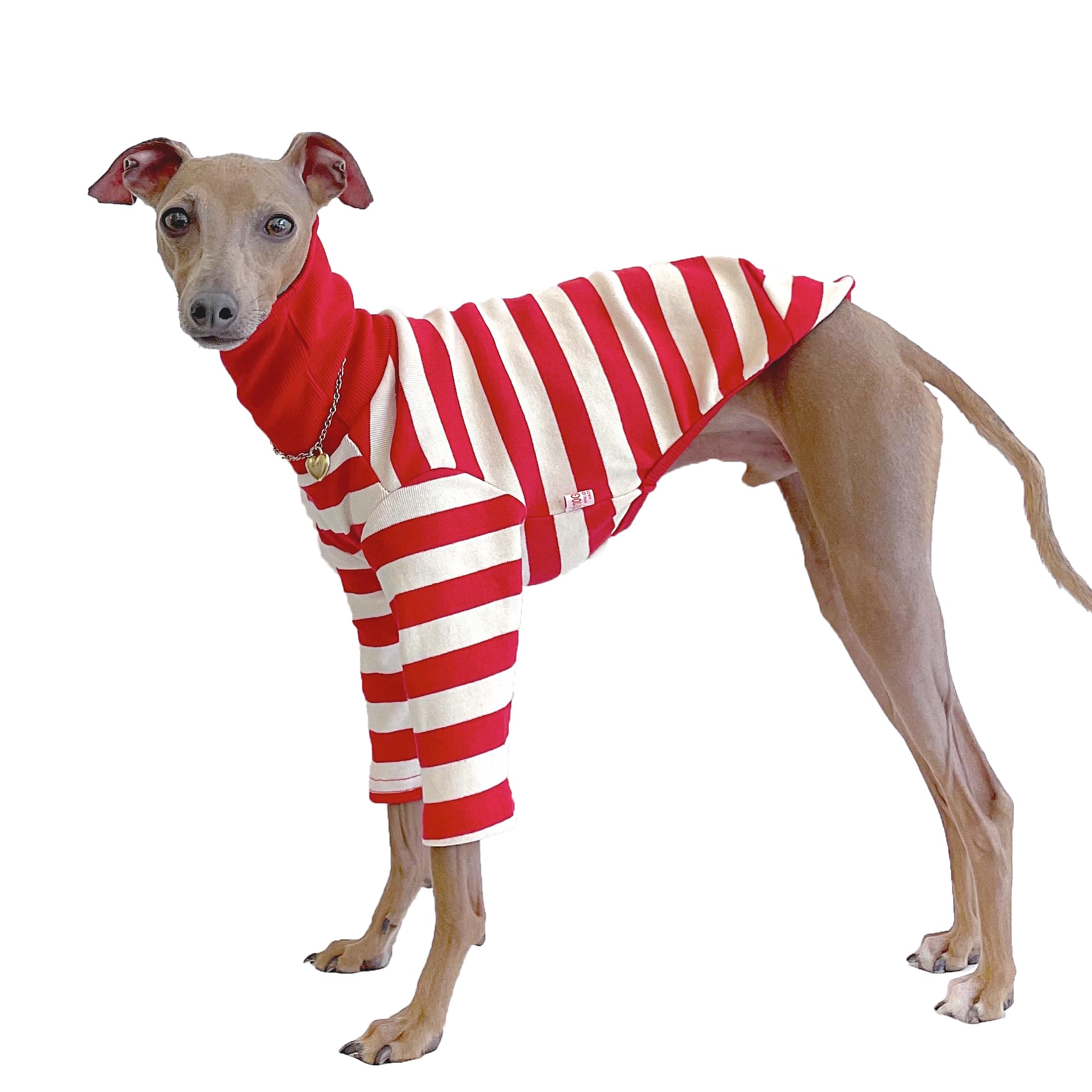 D Doggy Star Italian Greyhound Clothes Flexible T Shirts Whippet for Dogs (S,Stripe Red/Ivory) — image 1