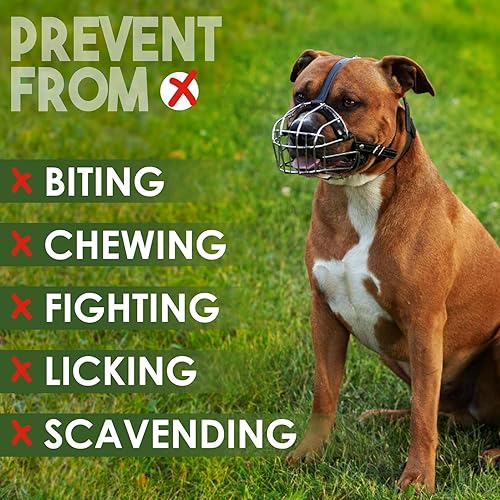 Miniatura 7 de BRONZEDOG Pitbull Amstaff Staffordshire Terrier - Bozal para perros medianos y grandes (tamaño 4 Pitbull y Amstaff)