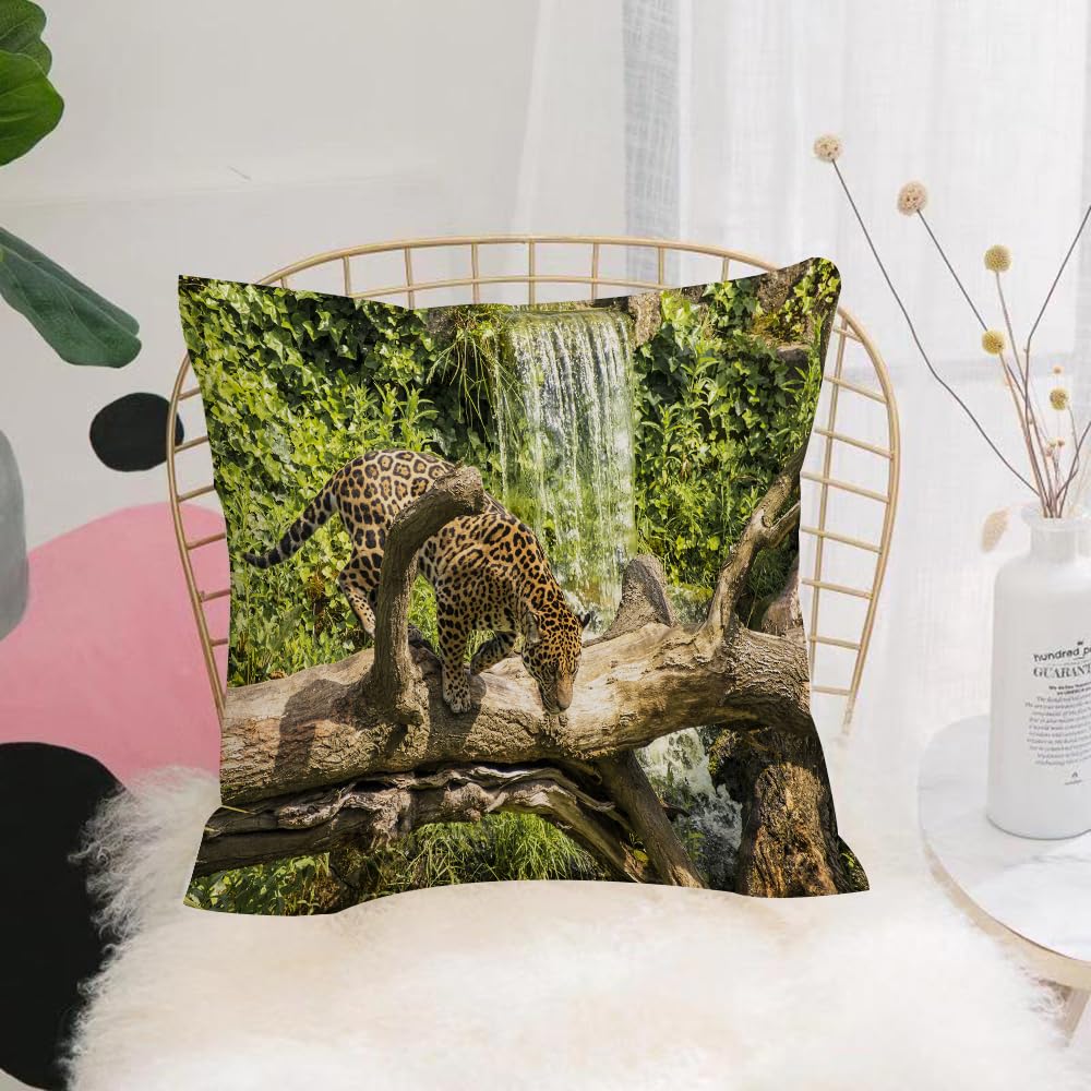 HYMSXW Cushion Cover,Throw Pillow Case Home Decorative for Living Room Bedroom Sofa Chair 20X20 Inch,Jaguar, Jaguar on dead wood next to waterfall, green plants,Pillowcase 50X50cm
