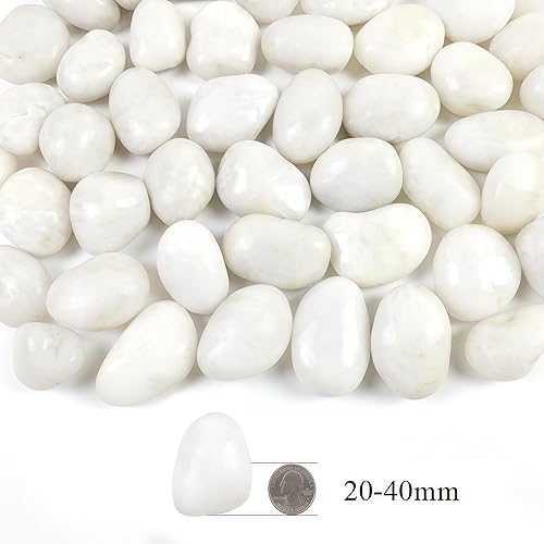Miniatura 2 de SHIZWU Piedras de río blancas pulidas de 2 libras, guijarros de 1 a 2 pulgadas para plantas, piedras para paisajismo, guijarros para pecera, jardín,